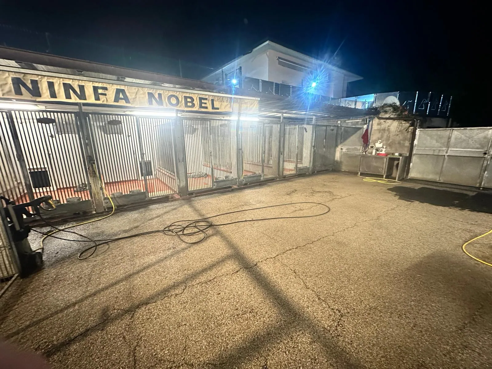Ampi spazi verdi della pensione per cani a Tavullia