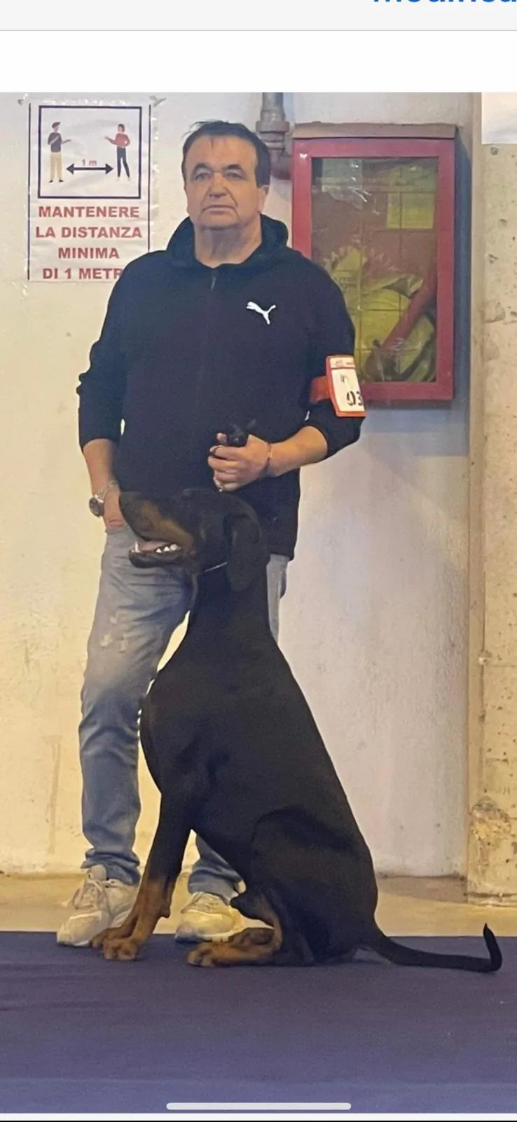 Sergio Scagnetti con uno dei Dobermann dell'allevamento